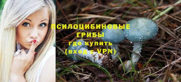 первитин Краснослободск