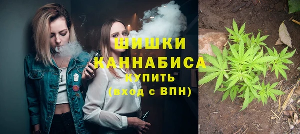 первитин Краснослободск